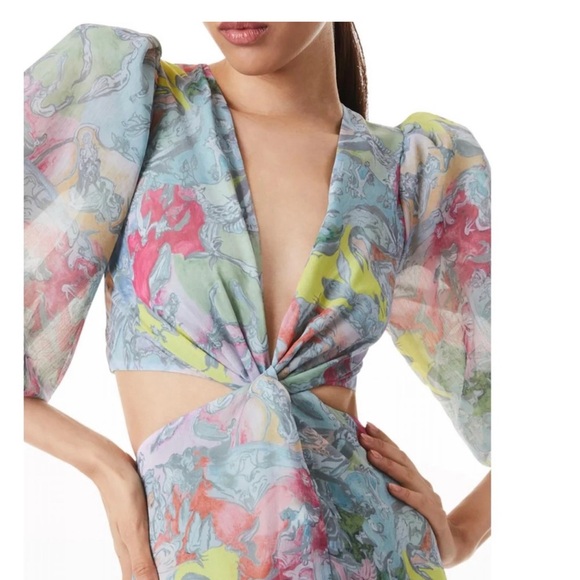 Alice + Olivia Dresses & Skirts - Alice + Olivia - Katia Twist-Front Floral Cutout High Low Dress